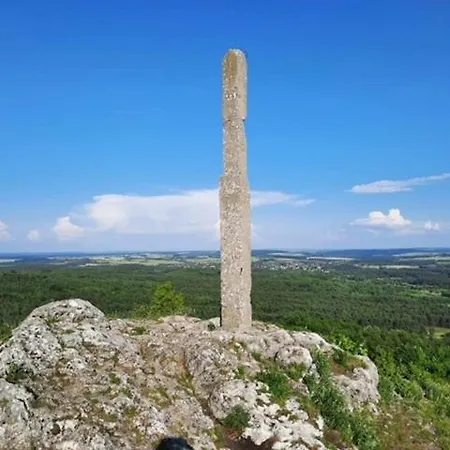 Amonit 35