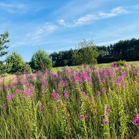 Homestay Amonit 35 Podlesice